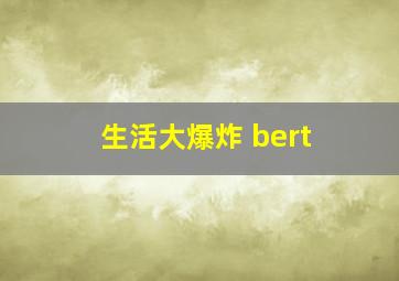 生活大爆炸 bert